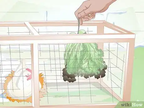 Imagen titulada Feed Chickens during the Winter Step 7