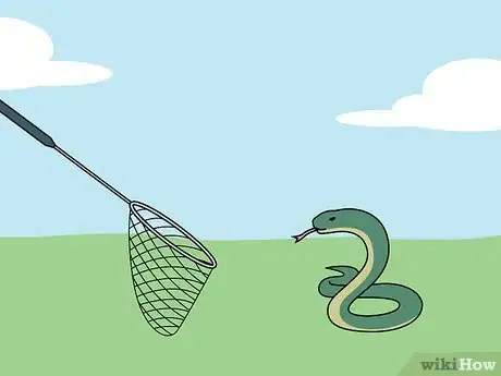 Imagen titulada Catch a Snake Step 1