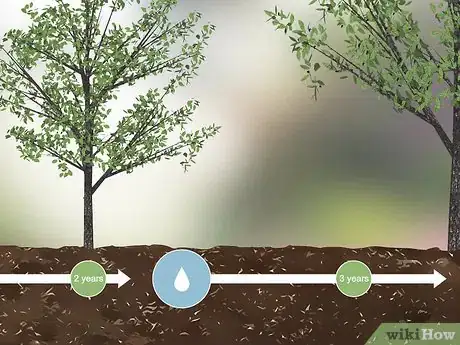 Imagen titulada Take Care of a Tree Step 3