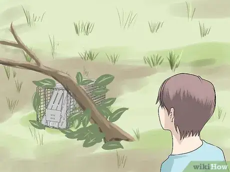 Imagen titulada Trap a Groundhog Step 9