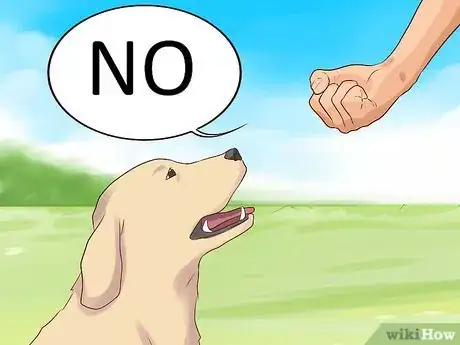 Imagen titulada Tell Your Dog No Step 1