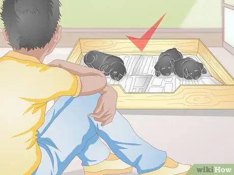 Imagen titulada Keep Newborn Puppies Warm and Clean Step 11