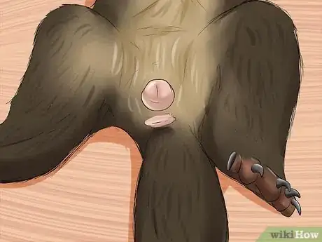 Imagen titulada Breed a Pet Ferret Step 2