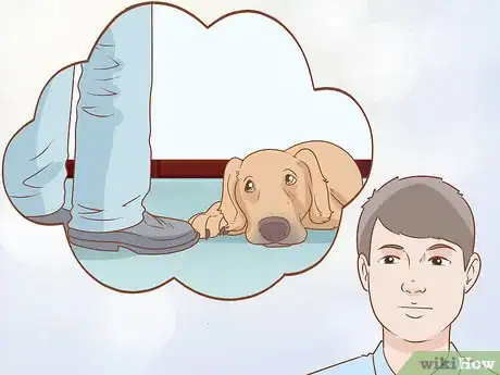 Imagen titulada Tell if Your Dog Is Depressed Step 1