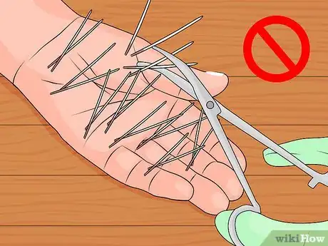 Imagen titulada Remove Porcupine Quills Step 16