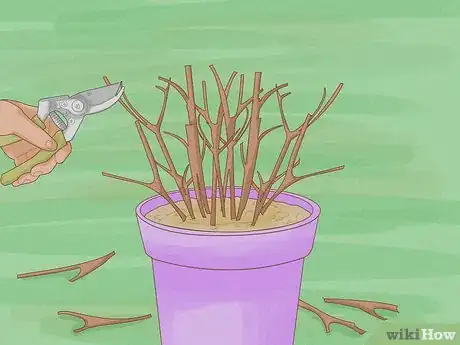 Imagen titulada Prune Azaleas Step 4