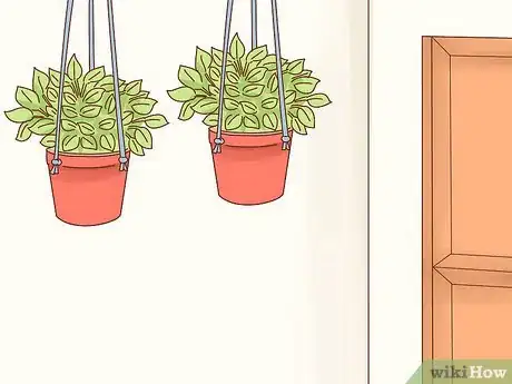Imagen titulada Get a Dog to Stop Eating Dirt Step 11
