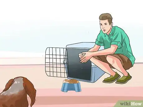 Imagen titulada Train Cavalier King Charles Spaniels Step 7