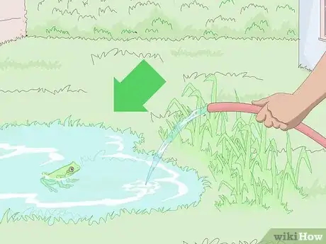 Imagen titulada Attract Frogs Step 1