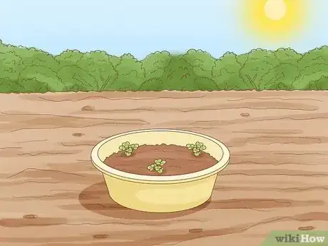 Imagen titulada Grow Strawberries Step 15