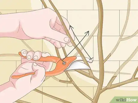 Imagen titulada Prune Jasmine Step 4