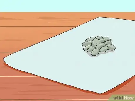 Imagen titulada Plant Sunflower Seeds Step 3