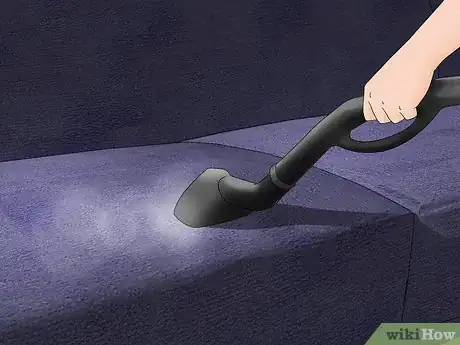 Imagen titulada Get Rid of Fleas Naturally Step 3
