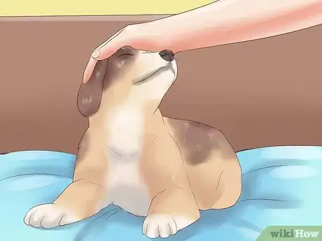 Imagen titulada Pick a Puppy from a Litter Step 8