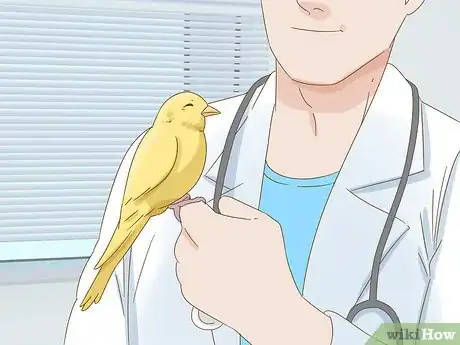 Imagen titulada Calm Down a Bird Step 9