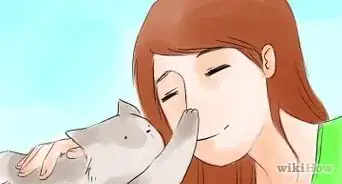 averiguar cuál es tu animal espiritual