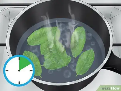 Imagen titulada Prepare Guava Leaves for Weight Loss Step 3