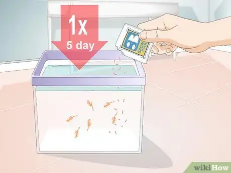 Imagen titulada Care for Sea Monkeys Step 6