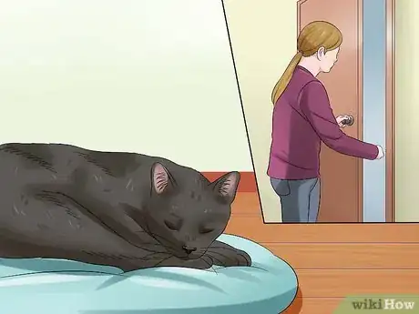 Imagen titulada Help Cats to Sleep at Bedtime Step 7