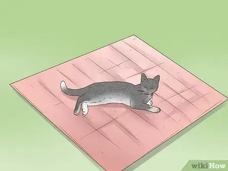 Imagen titulada Treat Epilepsy in Cats Step 12