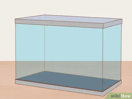 Imagen titulada Care for Neon Tetra Step 1