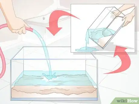 Imagen titulada Clean a Turtle Tank Step 6