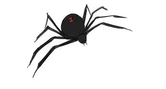 dibujar una araña