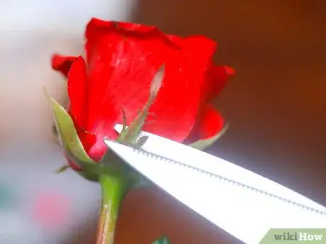 Imagen titulada Sugar Flowers Step 2