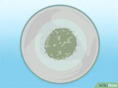 Imagen titulada Propagate Azaleas Step 31