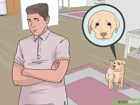 Imagen titulada Get a Puppy to Stop Crying Step 7