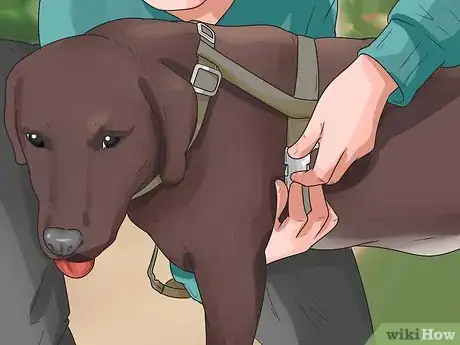 Imagen titulada Put on a Puppy Harness Step 12