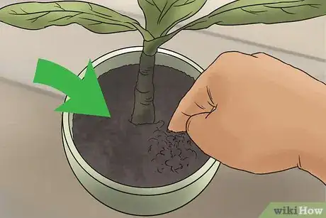 Imagen titulada Hide Things in Your Room Step 8