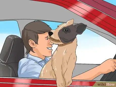 Imagen titulada Keep a Jack Russell Terrier Happy Step 10