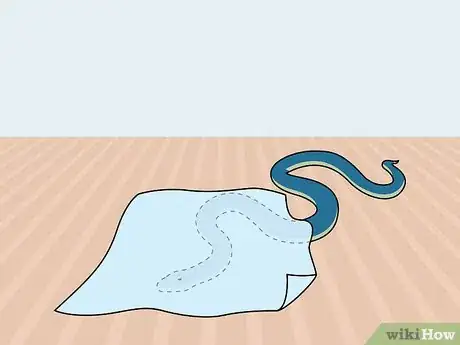 Imagen titulada Catch a Snake Step 4