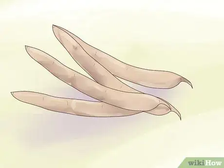 Imagen titulada Grow Pinto Beans Step 16