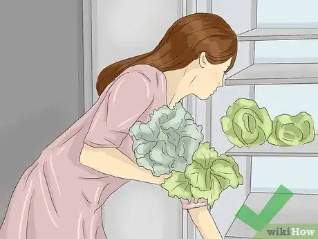 Imagen titulada Plant Lettuce Step 8