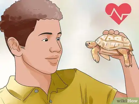 Imagen titulada Find a Turtle Step 3