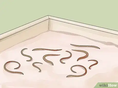Imagen titulada Find Worms Step 7