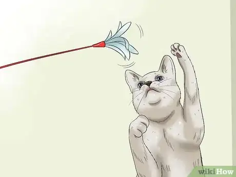 Imagen titulada Help Cats to Sleep at Bedtime Step 4
