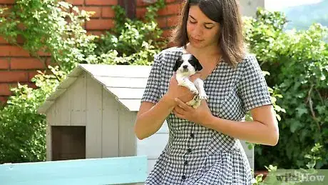 Imagen titulada Bathe Your Puppy Step 2