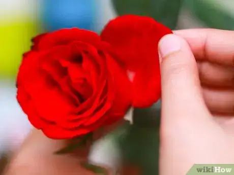 Imagen titulada Sugar Flowers Step 1
