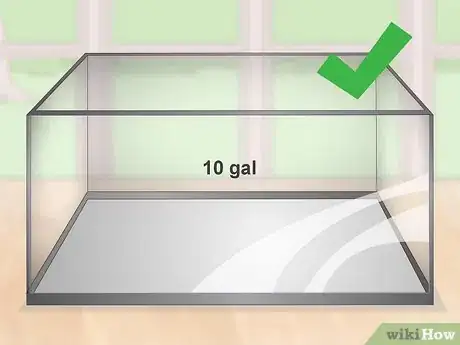 Imagen titulada Keep a Goldfish Happy and Healthy Step 1