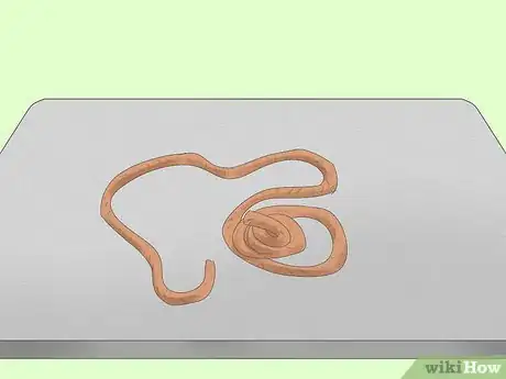 Imagen titulada Tie Strong Knots Step 20