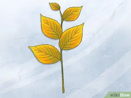 Imagen titulada Preserve Fall Leaves Step 10
