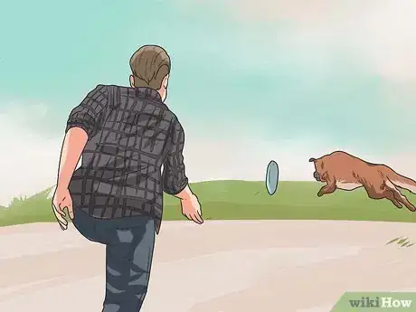 Imagen titulada Train Your Dog from Running out of Your House Step 14