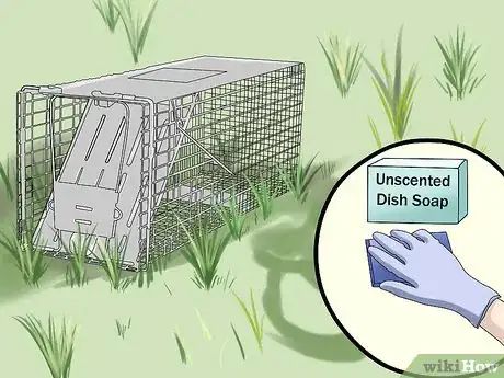 Imagen titulada Trap a Groundhog Step 4