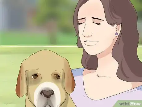 Imagen titulada Comfort Your Sick Dog Step 2