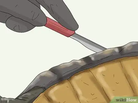 Imagen titulada Tell the Age of a Tortoise Step 8