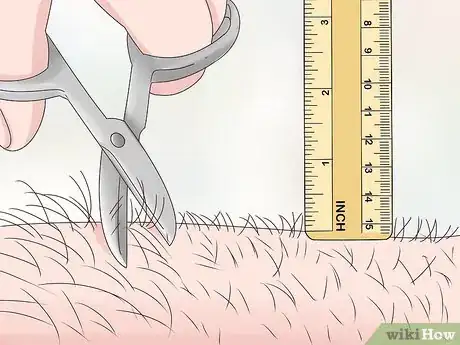 Imagen titulada Trim Arm Hair Step 3