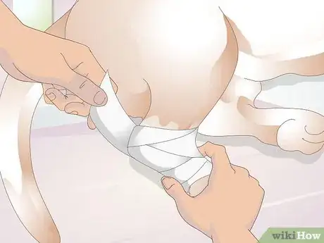 Imagen titulada Treat Broken Bones in Dogs Step 3